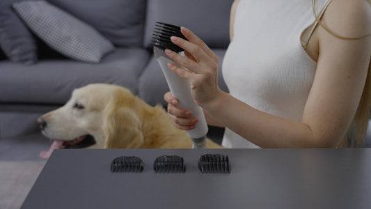 What to do if my dog/cat is afraid of the vacuum cleaner?