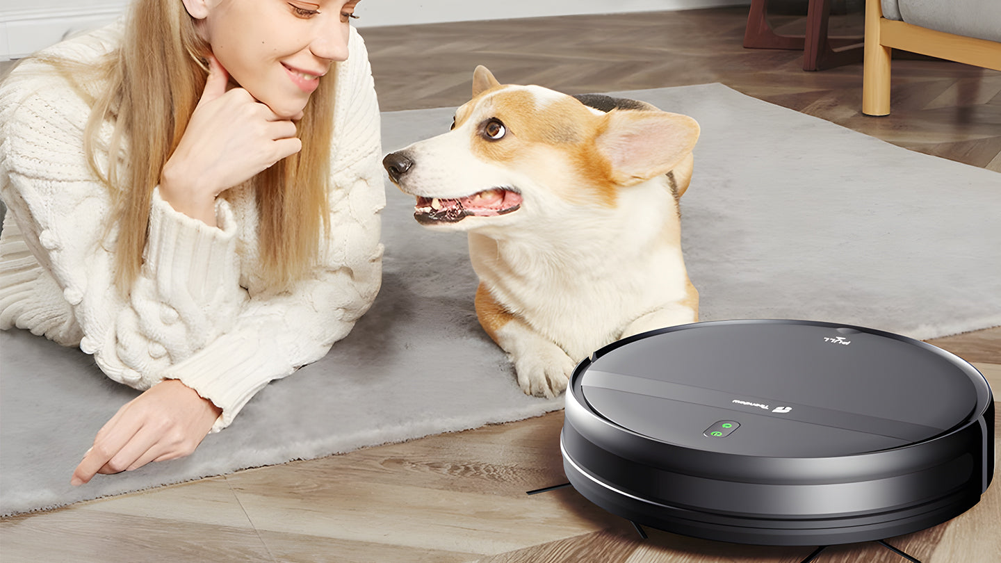 Dog Hair Shedding: 5 Section ways to help you deal with it