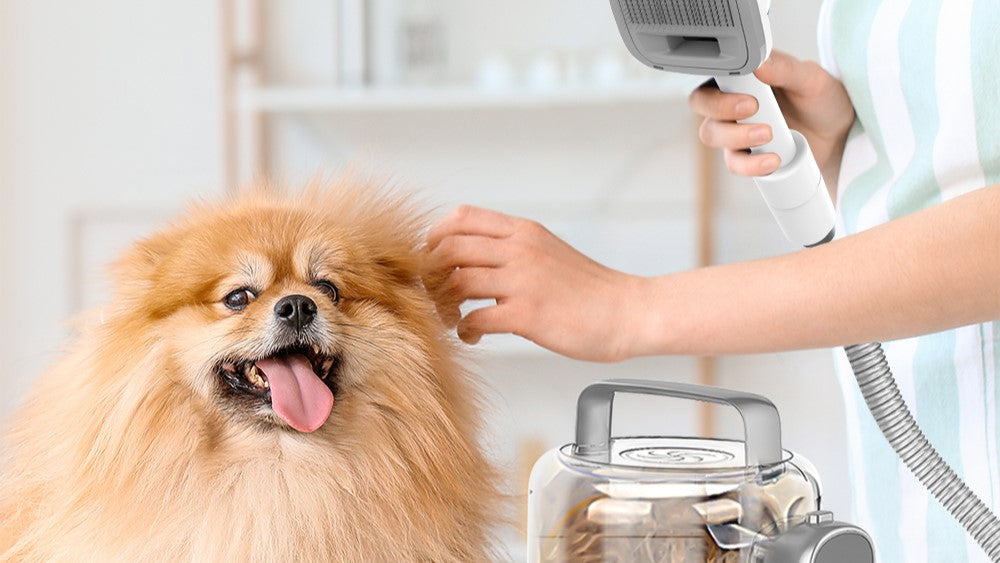 The Purr-fect Pet Pampering: How Often Should You Groom Your Furry Friend?