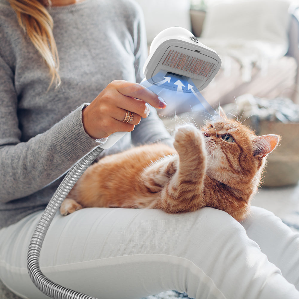 Teendow V10 - Pet Grooming Vacuum Kit